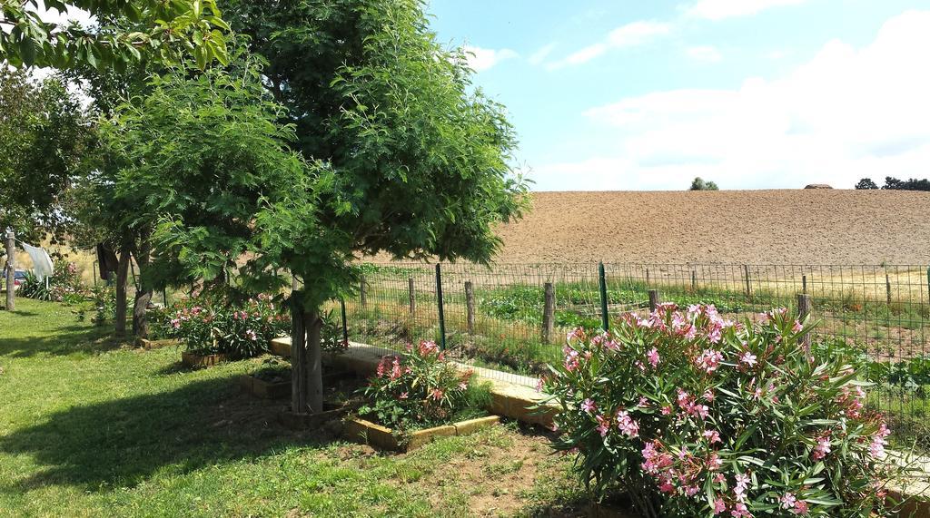 Agriturismo Airone Pitigliano Ngoại thất bức ảnh